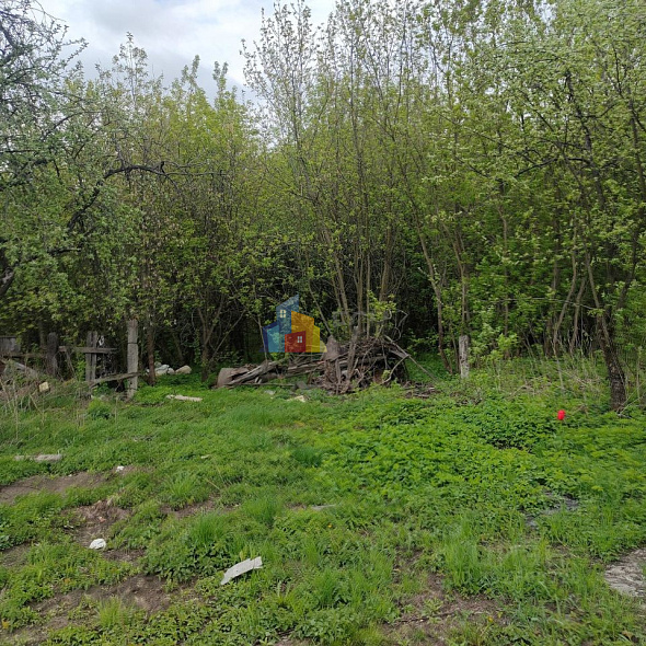  54