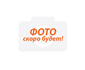 Гегенава Мадина Владимировна