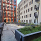  24