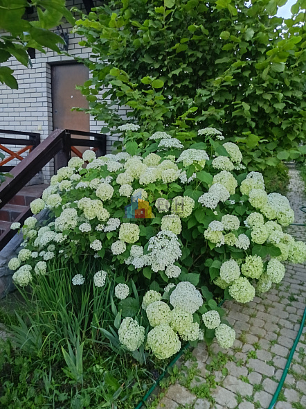 48
