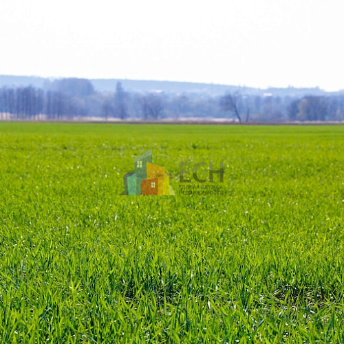 Земельные участки СНТ и ДНП в Москве, купить земельный участок 