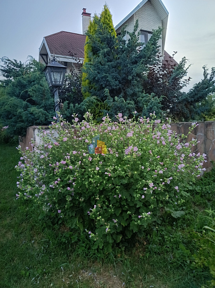  49