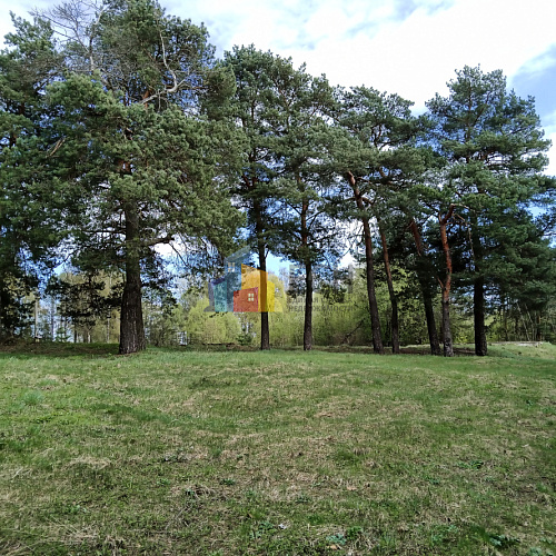 Земельные участки СНТ и ДНП в Москве, купить земельный участок 